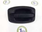 Türgriff Außen Rechts Vorne 735423241 Fiat Ducato (250) Van 2.3 D 130 Multijet (F1AE3481D) 2009