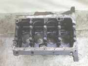 Motorblock BLOQUEBDJ Volkswagen Caddy III (2KA,2KH,2CA,2CH) Van 2.0 SDI (BDJ) 2005 BDJ