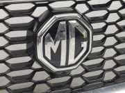 Grill 10633336 MG LUXURY