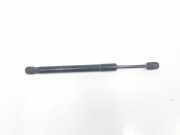 Gasdruckfedern Set Hinten 8E5827552K Audi A4 Avant (B7) Kombi 2.0 TDI (BPW) 2006