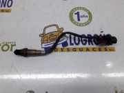 Lambdasonde 070906262B Audi Q5 (8RB) SUV 3.0 TDI V6 24V Quattro (CCWA) 2009