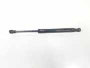 Gasdruckfedern Set Hinten 51247057340 BMW SERIE 6 CABRIO 3.0 Turbodiesel (286 CV) 2008