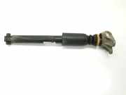 Stoßdämpfer Links Hinten 33526873822 BMW 3 serie Touring (F31) Kombi 318d 2.0 16V (B47-D20A)