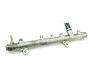 Einspritzdüsen Düsenstock 1573167JG0 Suzuki Grand Vitara II (JT) SUV 1.9 DDiS (F9Q)