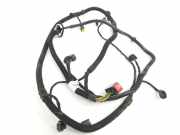 Kabelbaum PDC 9810489480 DS DS 4/DS 4 Crossback (NX) Schrägheck 1.6 BlueHDI 120 (DV6FC(BHZ)) 2017 DV6FC(BHZ)