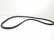 Heckklappe Gummi 87321G4000 Hyundai i30 (PDEB5/PDEBB/PDEBD/PDEBE) Schrägheck 2.0 N Turbo 16V Performance (G4KH) 2023