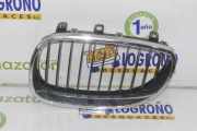 Grill Gitter Rechts 51137065701 BMW 5 serie (E60) Limousine 530d 24V (M57N-D30(306D2)) 2005