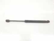 Gasdruckfeder Set Vorne 4G8823359A Audi A6 Avant (C7) Kombi 2.0 TDI 16V (CGLC) 2014