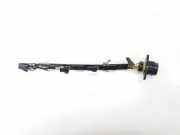 Kabelbaum INJECTOREN 038971600 Volkswagen Passat (3C2) Limousine 1.9 TDI (BLS) 2009 BLS