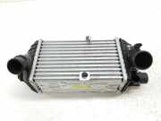 Ladeluftkühler 2827007350 Hyundai i20 (BC3) Schrägheck 5-drs 1.0 T-GDI 100 Mild Hybrid 48V 12V (G3LF) 2022