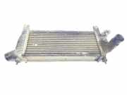 Ladeluftkühler 14461EB360 Nissan Navara (D40) Pick-up 2.5 dCi 16V 4x4 (YD25DDTi) 2005