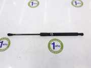 Gasdruckfeder Vorne 51237129190 BMW 3 serie (E90) Limousine 320d 16V (N47-D20C) 2011