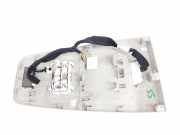 Innenbeleuchtung 969807643R Renault Kangoo Express (RFK) Van 1.3 TCE 100 16V (H5H-490(H5H-E4))
