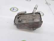 Kühler Automatik 17217551647 BMW 3 serie (E90) Limousine 328i 24V (N53-B30A) 2008