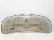 Motorhaube 651224338R Renault L1H1 29t Komfort