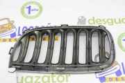 Grill Gitter Rechts 51133402910 BMW X3 (E83) SUV 3.0d 24V (M57N-D30(306D2)) 2004