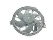 Lüfter Kühler 1250G7 Peugeot Expert (G9) Van 2.0 HDi 120 (DW10UTED4(RHK)) 2008