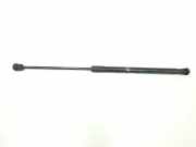 Gasdruckfeder Vorne 4L0823359 Audi Q7 (4LB) SUV 3.0 TDI V6 24V (CASA) 2010