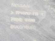 Bodenschutz VOOR 748N24FA0B Nissan NV 200 Evalia (M20M) Bus E-NV200 (EM57) 2014