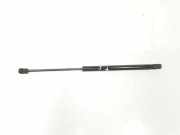 Gasdruckfedern Set Hinten 8731G3 Citroën C3 (FC/FL/FT) Schrägheck 5-drs 1.4 HDi (DV4TD(8HX)) 2003