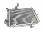 Radiator 8E0121212D Audi S4 (B6) Limousine 4.2 V8 40V (BBK) 2005