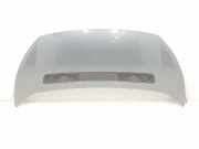 Motorhaube 7901N1 Peugeot Expert Tepee (G9) Großraumlimousine 1.6 HDi 16V 90 (DV6UTED4(9HU)) 2014