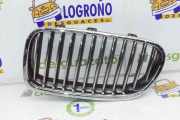 Grill Gitter Links 51137200727 BMW 5 serie (F10) Limousine 520d 16V (N47-D20C) 2011