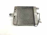 Radiator 1771049F00 SUZUKI BURGMAN 125