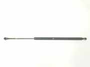Gasdruckfedern Set Hinten 51248402405 BMW X5 (E53) SUV 3.0d 24V (M57N-D30(306D2)) 2004
