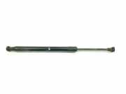Gasdruckfedern Set Hinten 51247250308 BMW SERIE 3 BERLINA 2.0 16V D (122 CV) 2007