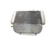 Radiator 57301R Piaggio Porter NP6 Ch.Cab/Pick-up 1.5 16V LPG (M15KRP)