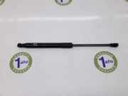 Gasdruckfeder Vorne 51232990344 BMW X1 (E84) SUV xDrive 25d 2.0 16V (N47-D20D) 2015