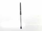 Gasdruckfedern Set Hinten 4L0827552E Audi Q7 (4LB) SUV 3.0 TDI V6 24V (BUG) 2007