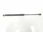 Gasdruckfeder Set Vorne 51237060550 BMW 3 serie Touring (E91) Kombi 330Xd 24V (M57N2-D30(306D3)) 2007