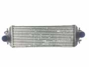 Ladeluftkühler 7700312903 Renault Trafic New (FL) Van 1.9 dCi 100 16V (F9Q-760) 2006
