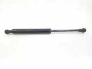 Gasdruckfeder Set Vorne 8402551 BMW X5 (E53) SUV 3.0d 24V (M57N-D30(306D2)) 2004