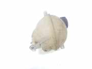 Ausgleichbeh?lter 1323FA Citro?n CITROEN LIM. 1.6 Blue-HDI FAP (99 CV) 2017