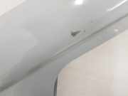 Tür Links Vorne 801015773R Renault Trafic (1FL/2FL/3FL/4FL) Van 1.6 dCi 115 (R9M-D452(Euro 6)) 2016