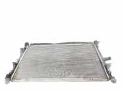 Radiator BK218005CC Ford CUSTOM FURGÓN TTF 250 L1 Ambiente