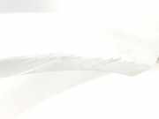 Kotflügel Rechts Vorne 63100AV630 Nissan Primera (P12) Schrägheck 2.2 dCi 16V (YD22DDTi) 2003