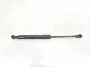 Gasdruckfeder Set Vorne 51237200197 BMW 5 serie Gran Turismo (F07) Schrägheck 530d xDrive 24V (N57-D30A) 2016