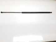 Gasdruckfedern Set Hinten 91168256 Opel Vivaro Bus 2.5 CDTI 16V (G9U-630) 2007