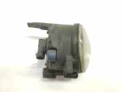 Nebelscheinwerfer Rechts 63176920886 BMW X5 (E53) SUV 3.0d 24V (M57N-D30(306D2)) 2004