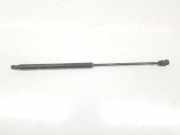 Gasdruckfedern Set Hinten 51812267 Fiat Bravo (198A) Schrägheck 1.9 JTD Multijet (192.A.8000) 2007