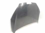 Motorhaube 7901K7 Peugeot 407 SW (6E) Kombi 2.0 HDiF 16V (DW10BTED4(RHR))