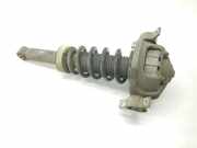 Stoßdämpfer Links Hinten 95533305111 Porsche Cayenne (9PA) SUV 4.5 S V8 32V (M48.00) 2003