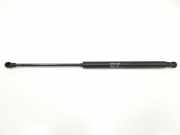 Gasdruckfedern Set Hinten 51778432 Fiat Grande Punto (199) Schrägheck 1.4 (350.A.1000) 2006