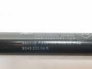 Gasdruckfedern Set Hinten 8200813791 Dacia 1.5 dCi D FAP (90 CV) 2016