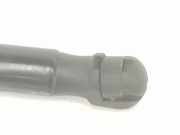 Gasdruckfedern Set Hinten 6F0827550C Seat 1.6L 2023