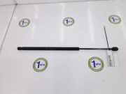 Gasdruckfeder Hinten 689600F011 Toyota Corolla Verso (R10/11) Großraumlimousine 2.0 D-4D 16V (1CD-FTV) 2005